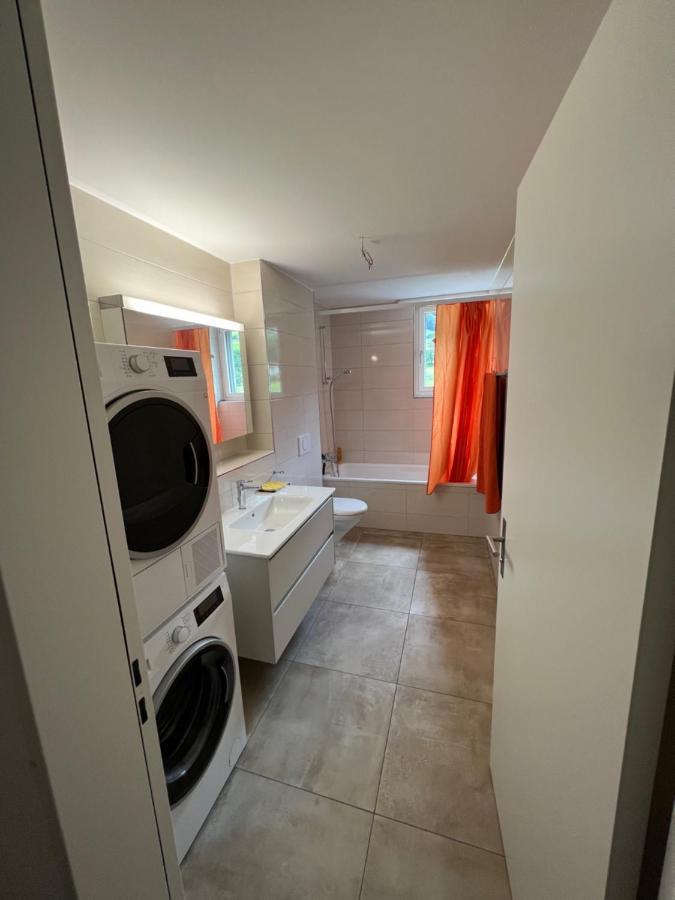 Great New Apartment Surrounded By Nature. Schattdorf Екстер'єр фото