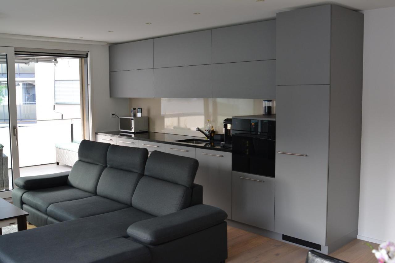 Great New Apartment Surrounded By Nature. Schattdorf Екстер'єр фото