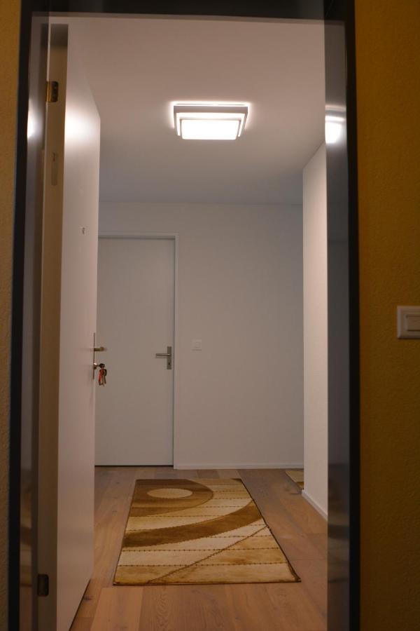Great New Apartment Surrounded By Nature. Schattdorf Екстер'єр фото